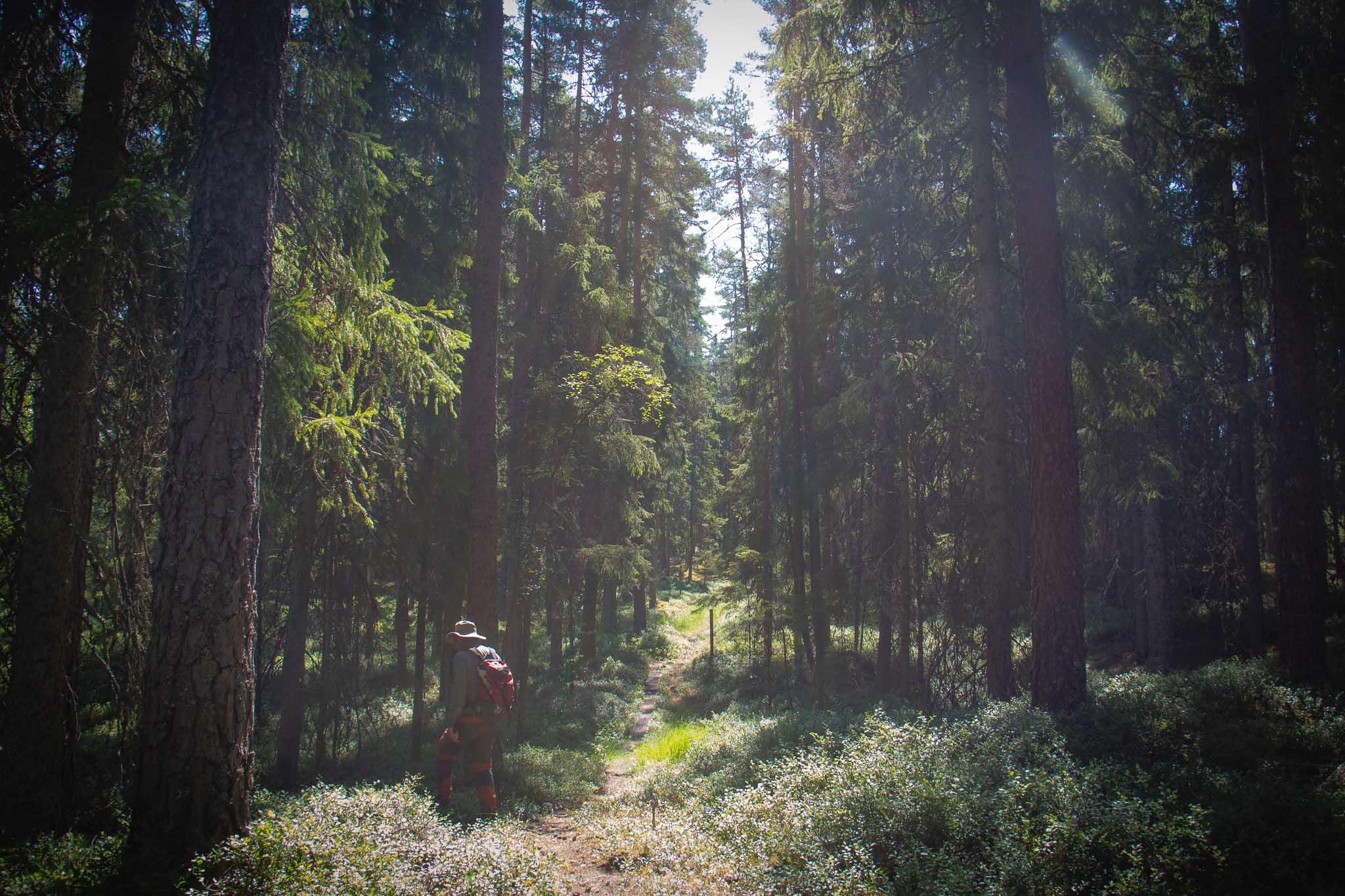 Järnbärarleden 3