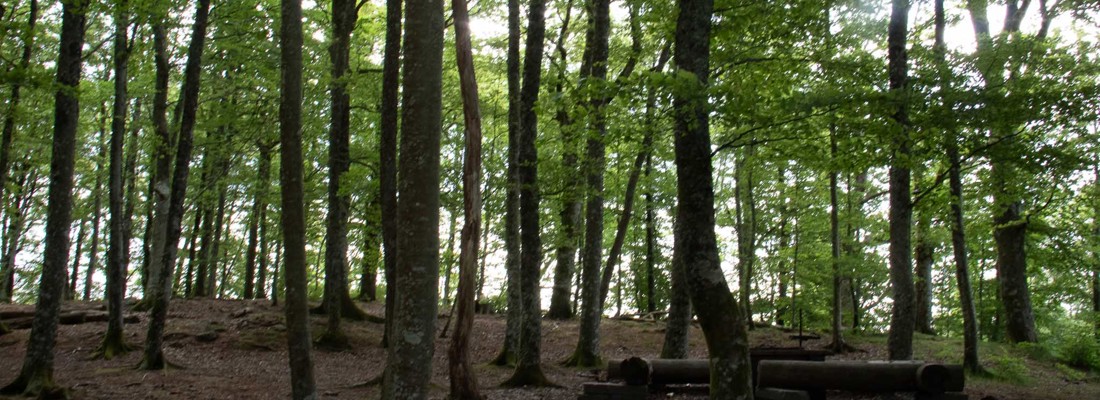 Naturhemligheter I Gnosjöandan 10