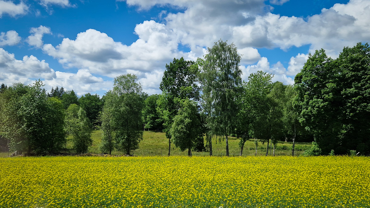 Så Gör Vi Gnosjö Mer Känt – För Både Boende Och Besökare 5