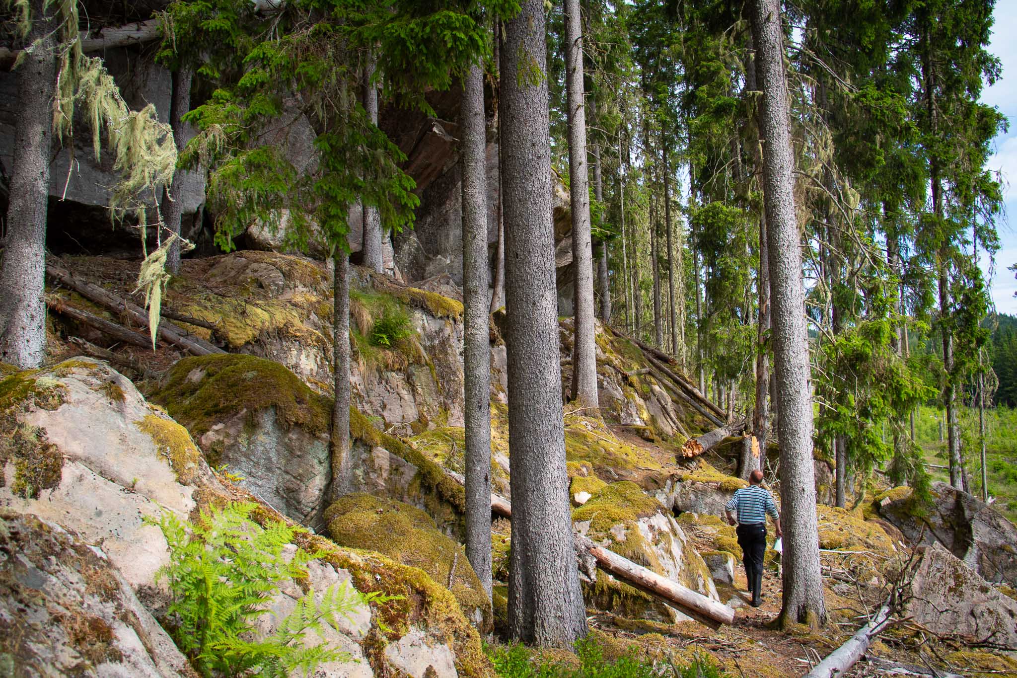 Naturhemligheter I Gnosjöandan 8