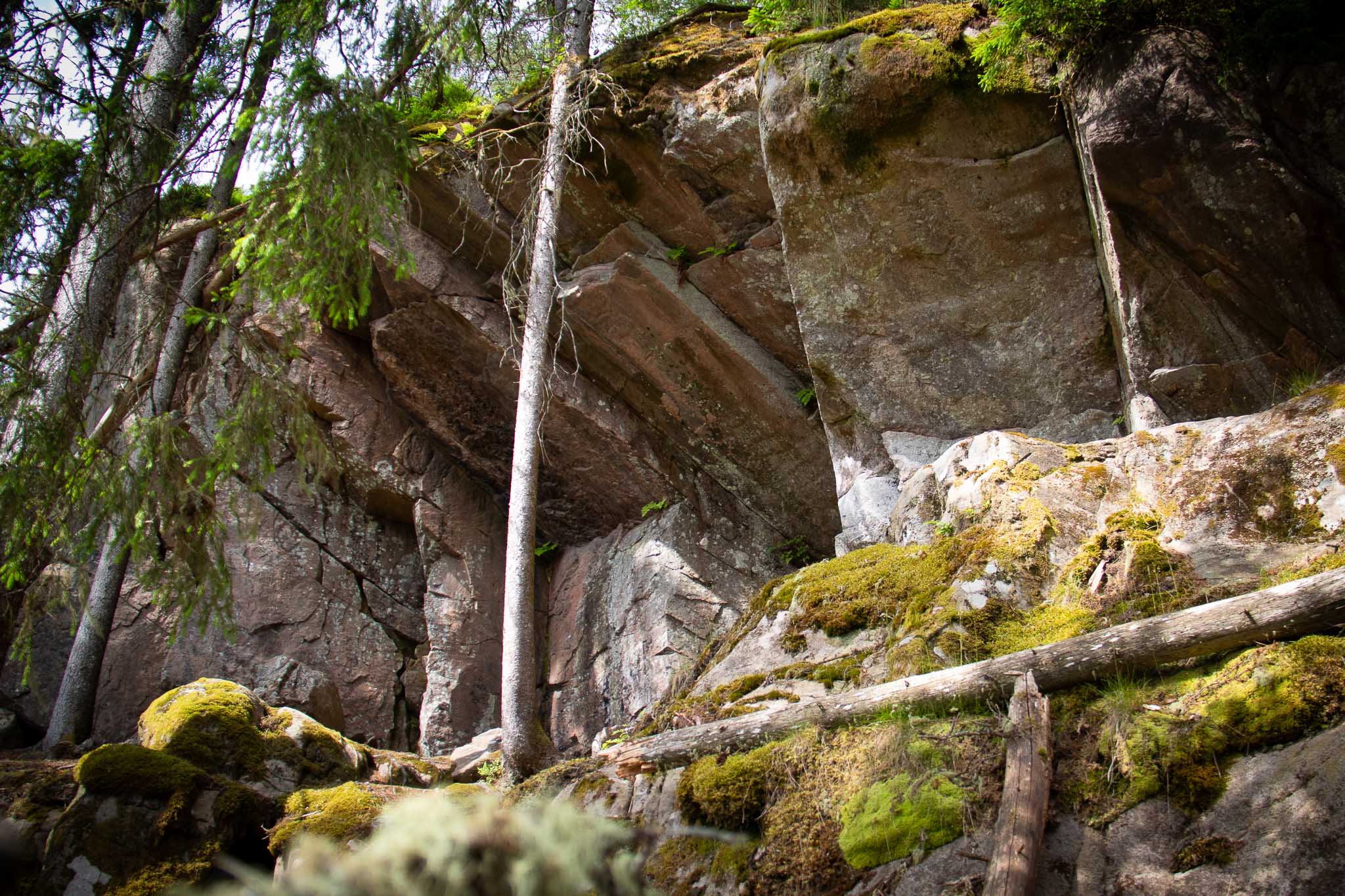 Naturhemligheter I Gnosjöandan 14