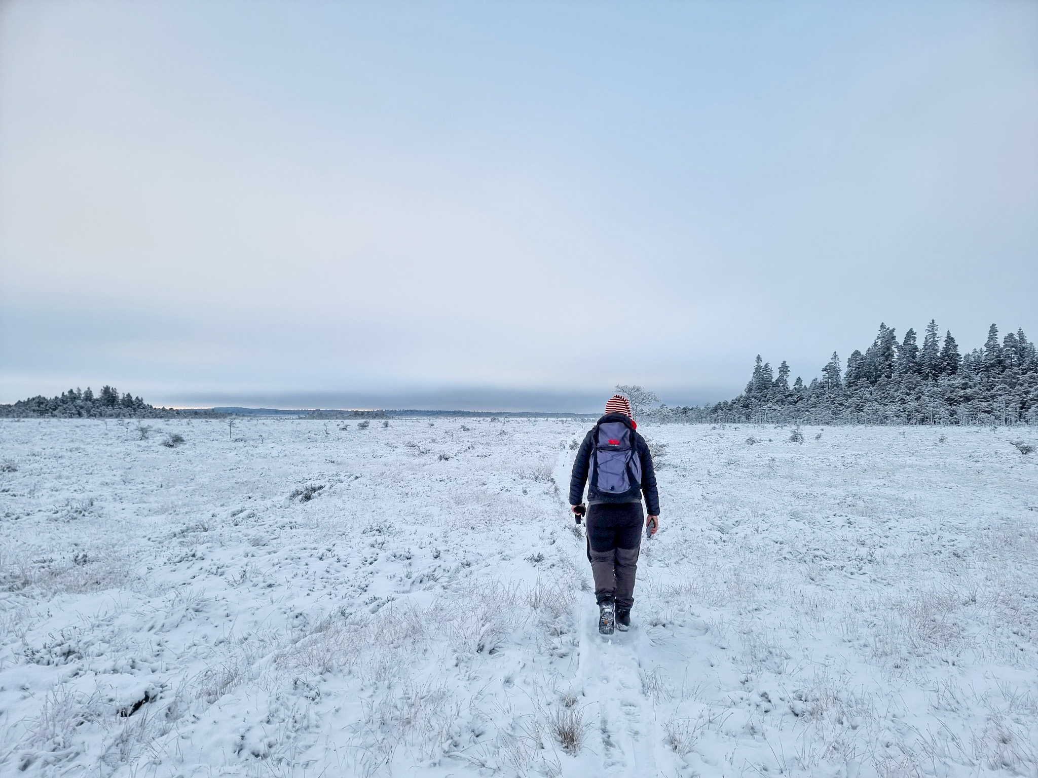 Vintervandring Till Lilla Lövö Kopia