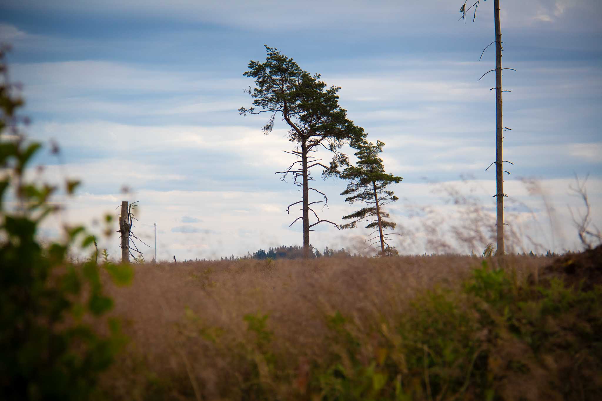 Naturhemligheter I Gnosjöandan 18