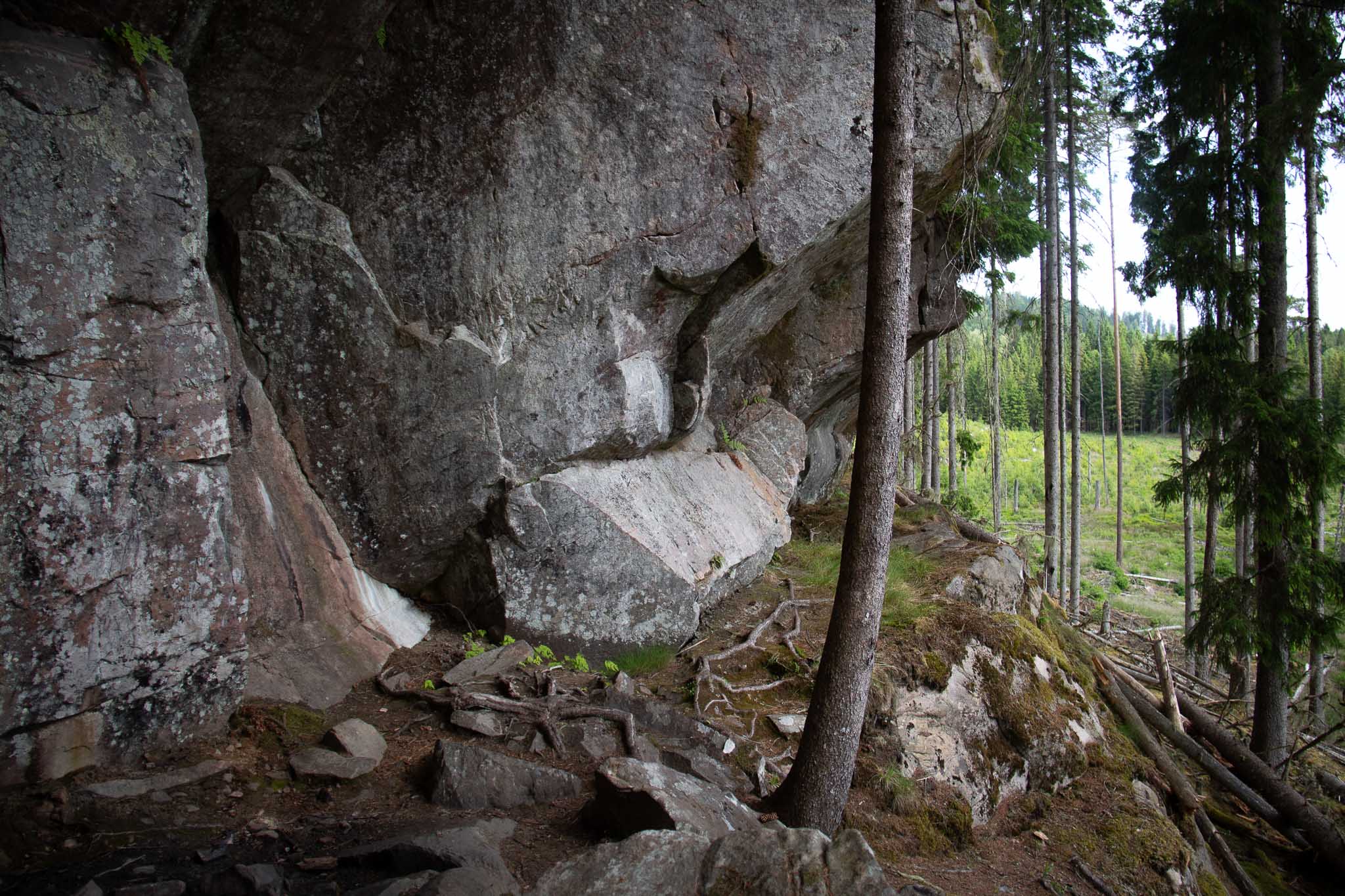 Naturhemligheter I Gnosjöandan 6